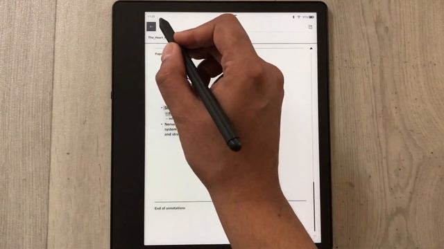 Amazon Kindle Scribe: PDF Annotations with Premium Pen смотреть онлайн