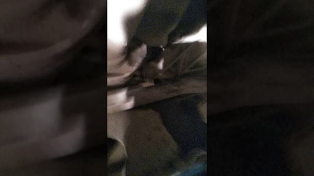 Регулировка торсионов Nissan NP300