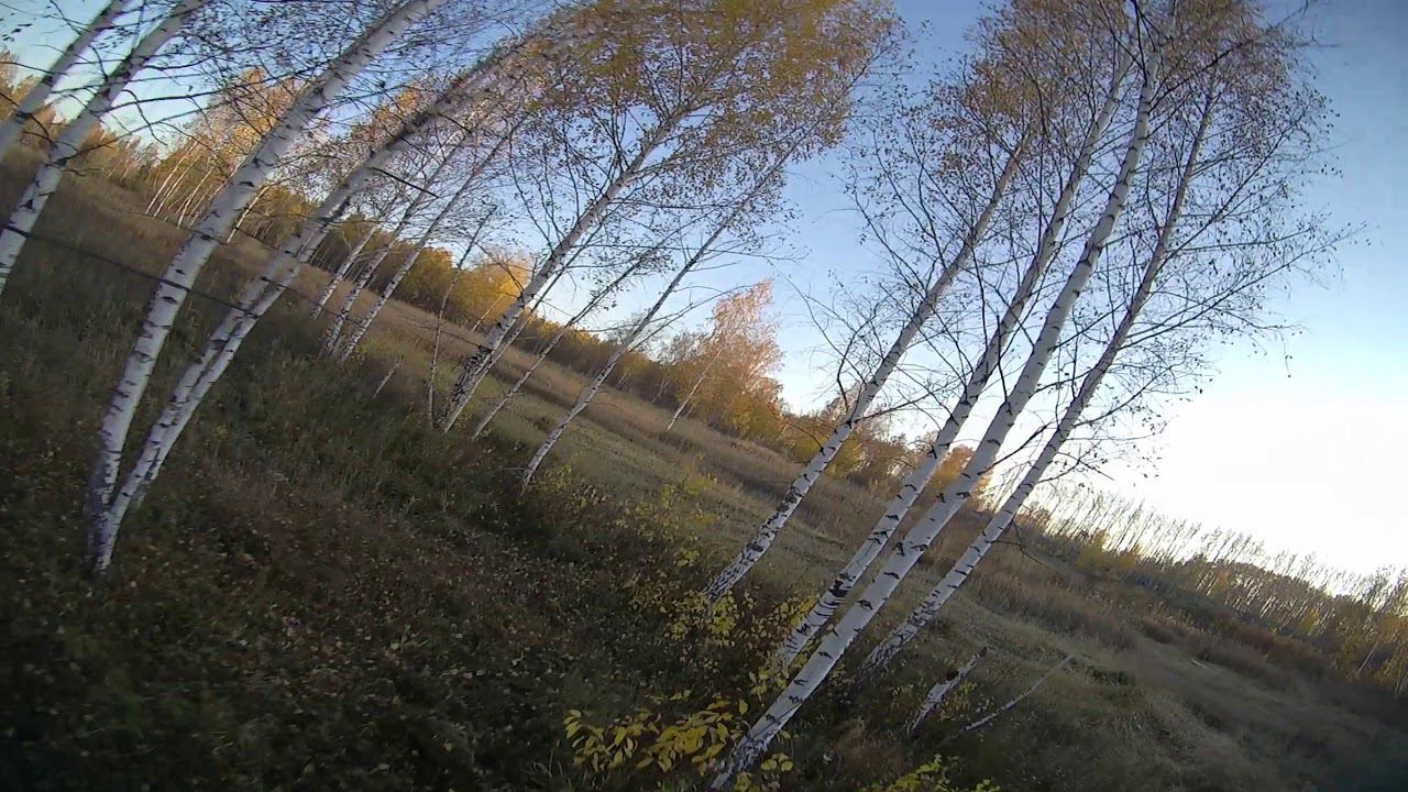 Azuro смотреть онлайн