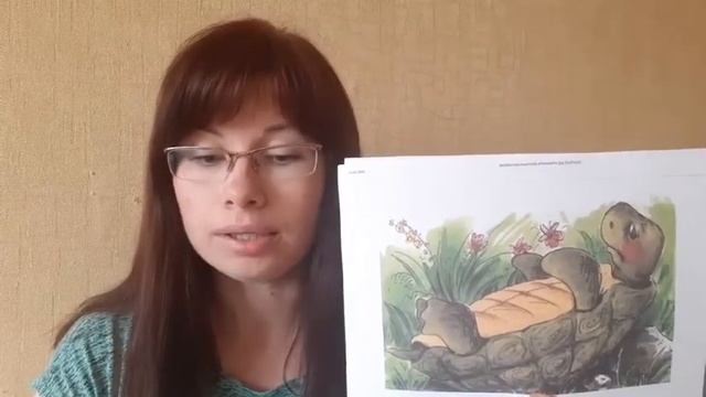 Сказка о перевернутой черепахе смотреть онлайн