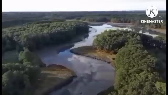 мы родились в сибири//бедный Вася//обзор канала смотреть онлайн