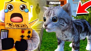У МЕНЯ НОВЫЙ КОТЁНОК! СИМУЛЯТОР ЖИЗНИ КОТА 2022 РОБЗИ