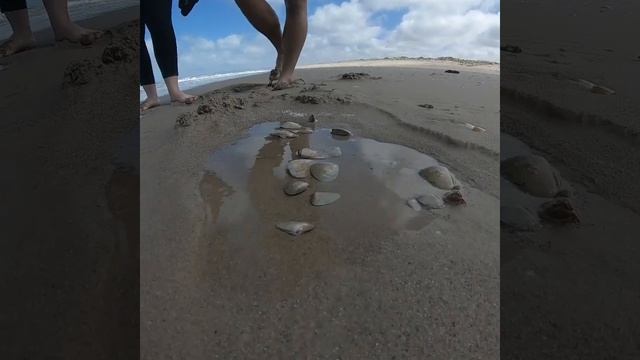 Canoe the Coorong Tour смотреть онлайн