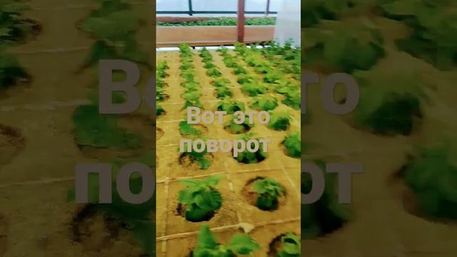 ЧЕРЕНКИ В НОВОМ ИЗМЕРЕНИИ смотреть онлайн