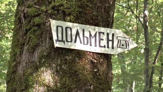 Форум-2015. КОМАНДА РАДОСТИ И СЧАСТЬЯ. Как это было смотреть онлайн