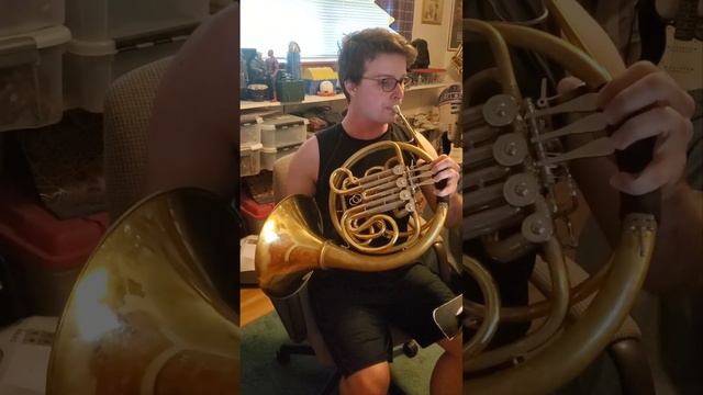 Somewhere from West Side Story #music #horn #classicalmusic #westsidestory #leonardbernstein #solo смотреть онлайн