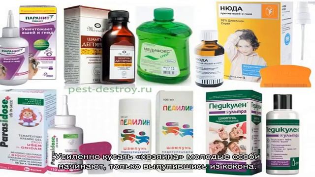 Подчеркните свои глаза с ресницами