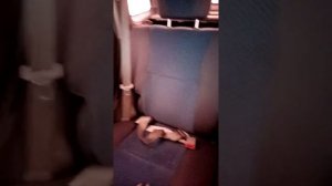 Чери тигго т11 2009 о своём авто