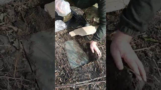 Мыши на даче. Боремся на упреждение! Animal world. смотреть онлайн