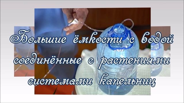 Полив комнатных растений в наше отсутствие Что предпринять!? смотреть онлайн