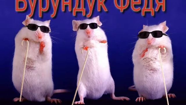 Интро Бурундук Федя смотреть онлайн