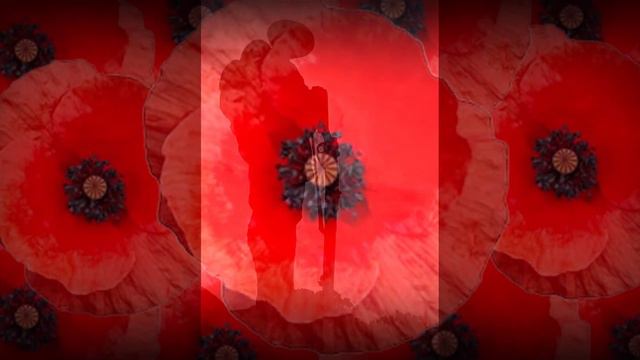 We Don't Forget - Original song by Sonya Smith смотреть онлайн