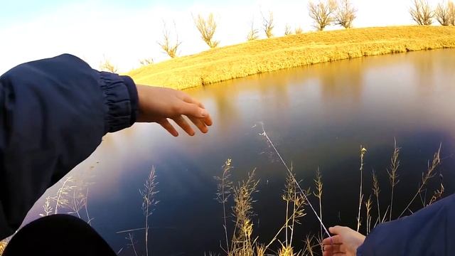 ШОК! Ловля Раков Зимой! Это реально?! смотреть онлайн