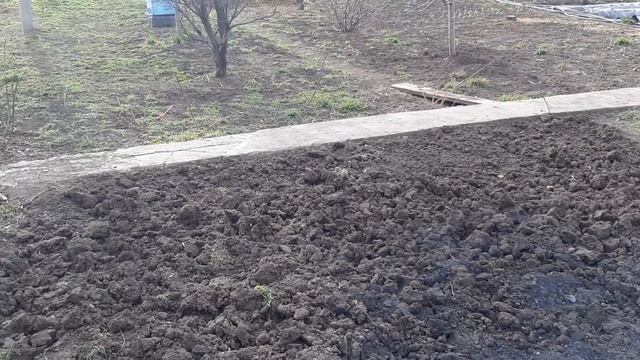 Неужели все таки пришла? семья Сиротенко смотреть онлайн