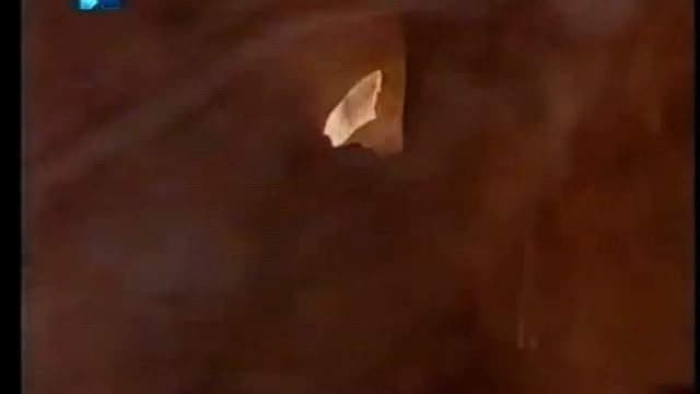 Ципори смотреть онлайн