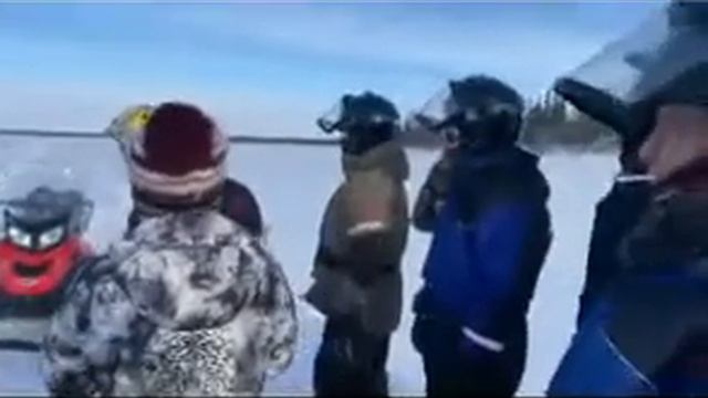 Покатушки на собаках смотреть онлайн