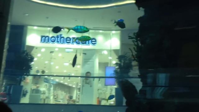 Прогулка в ТЦ Океания смотреть онлайн