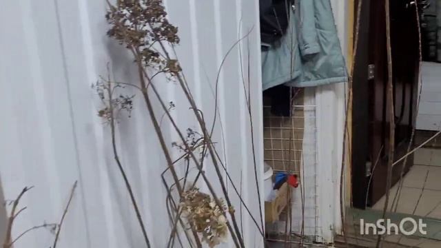 Пенза. База .Цены.