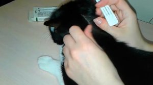 Капли барс от блох и клещей.Средство для защиты от клещей для кошек и собак.