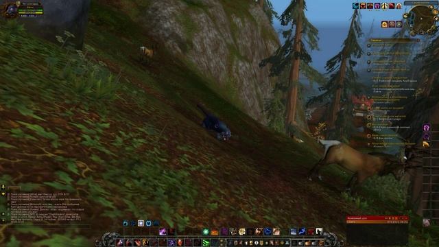 WoW. Private Server 3.3.5