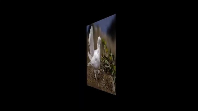 Чистый лист ( КЛИП) смотреть онлайн