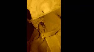 Снятие шплинта датчика скорости Форд Фокус 2