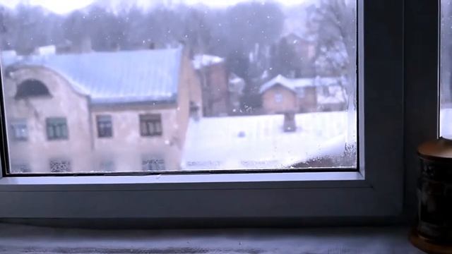 Kittens looking on falling snow смотреть онлайн