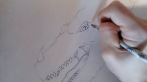 Как нарисовать дракона