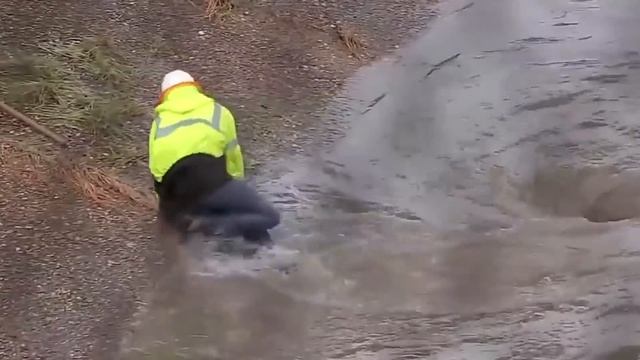 The Oddly Satisfying Compilation