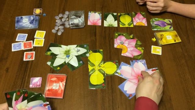 Играем в настольную игру Lotus (Лотос)