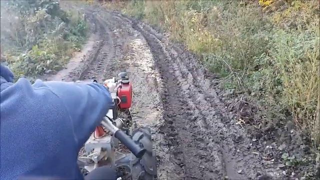Покатушки на мотоблоке Мотор Сич. Золотая осень, красивые места смотреть онлайн