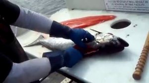 Разделка рыбы на филе-кусок. Чавыча (Alaskan King Salmon)