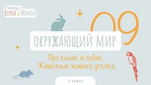 Про кошек и собак. Животные живого уголка. Окружающий мир, урок 9. 2 класс. В школу с Верой и Фомой