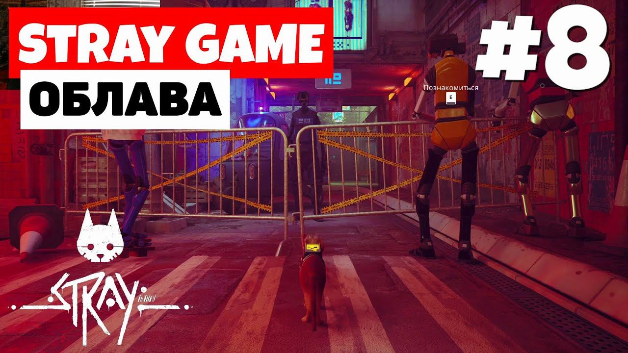 Stray - Коробка спасет #8 смотреть онлайн