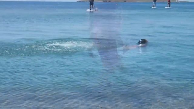 Видео с игрушками. Спасатели Малибу из школы Монстер Хай. Все серии про куклы смотреть онлайн