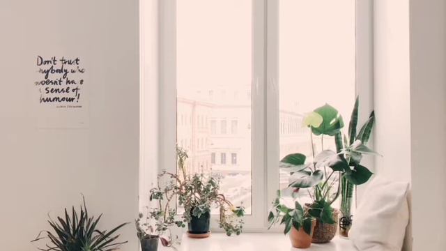 French music with accordion, nylon string guitar and acoustic bass - Relaxion, Therapy смотреть онлайн