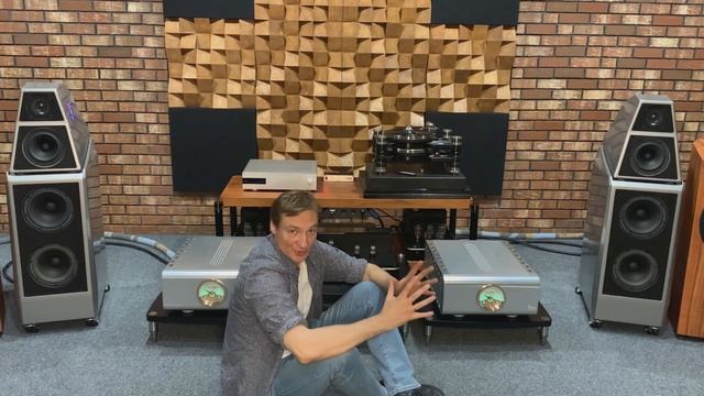 Wilson Audio Sasha DAW/Dan D'Agostino Progression mono/G9 preamp смотреть онлайн