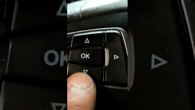 service service oil Ford Kuga 2019 смотреть онлайн