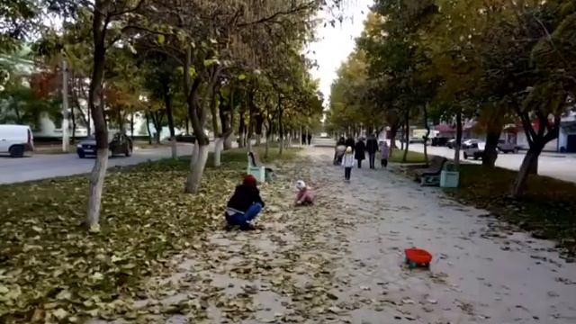 Наш любимый город. смотреть онлайн