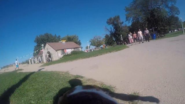Eva the Beagle Cam GoPro Vlog - Eva goes to the Beach смотреть онлайн
