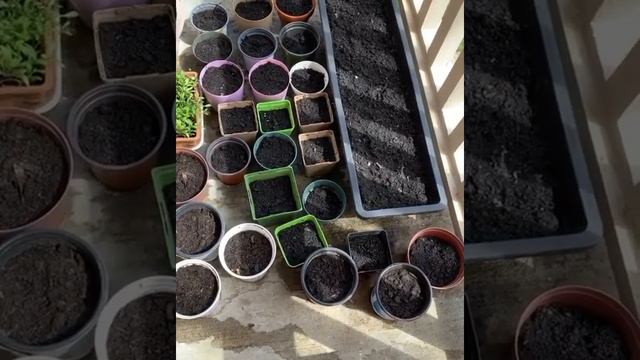 Quantum Earth Day Giveaway Entry 6 смотреть онлайн