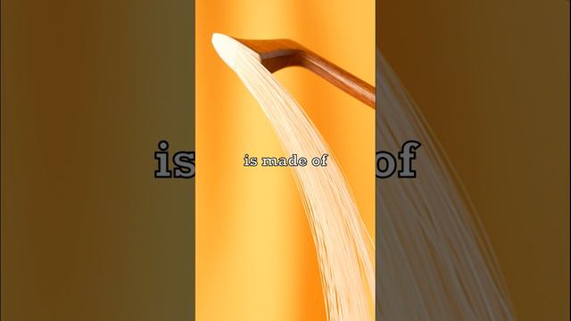 What is Violin Bow Made of? 🎻 смотреть онлайн