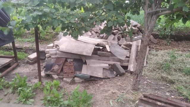 У ГОРОД ЗАПОВЗЛО НЕБАЧЕНЕ ЗВІРЯТКО!!? смотреть онлайн