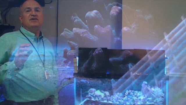 Setup a Coral Frag Tank - ReefKeeping Video Podcast by AmericanReef - Start a Saltwater Aquarium смотреть онлайн