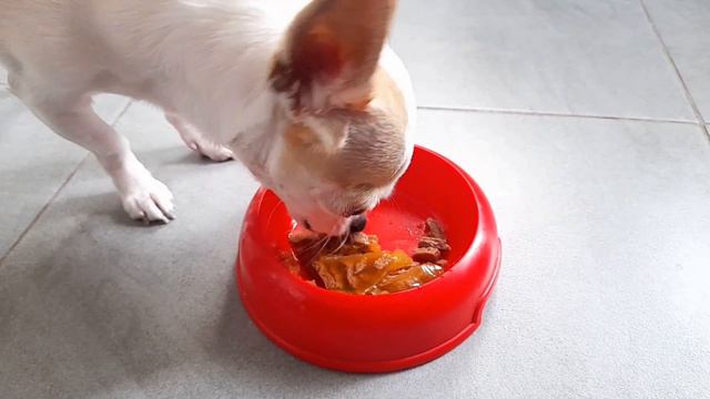 Голодный ребенок👶😋 Hungry baby смотреть онлайн