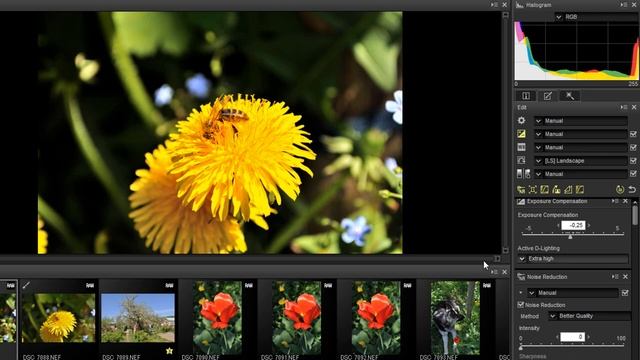 Обработка формата RAW в программе Capture NX-D смотреть онлайн