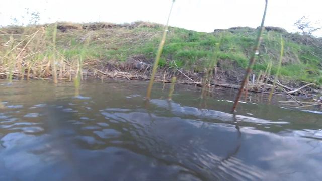 Первые испытания экшн камеры yi 4k+ под водой и первое купание в этом году смотреть онлайн