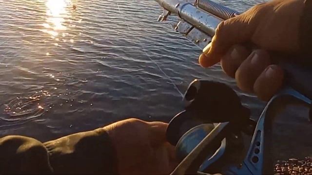 Ловля судака на живца . Рыбалка на живца на поплавок . Судак . Рыбалка 2021 . Судак сегодня 2021 . смотреть онлайн