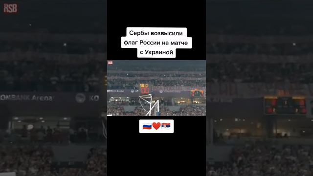 Сербы возвысили флаг России на матче с Украиной смотреть онлайн