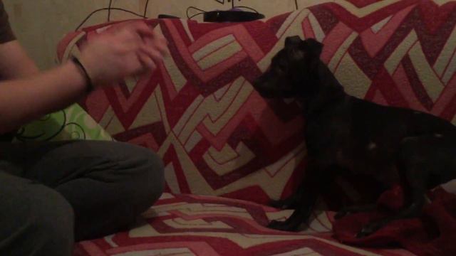 Играем с нашим стаффом Багирой и дымим фирменный кальян!!)) проводим вечер перед купанием 19.01.201 смотреть онлайн